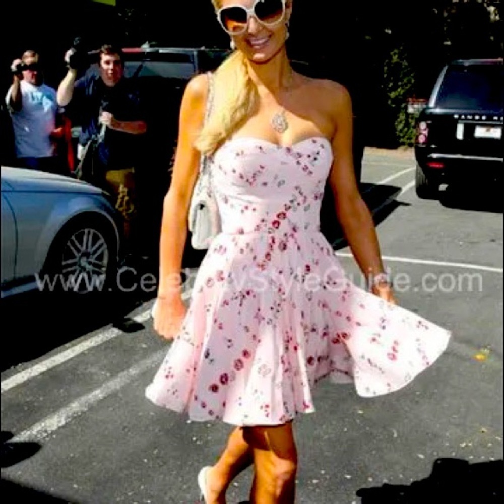 NWT - Silk, size 2, Rebecca Taylor Corset Dress. - Picture 5 of 5